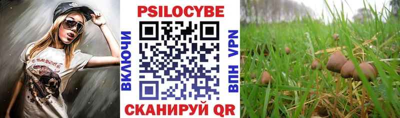 Галлюциногенные грибы Psilocybe  МЕГА ТОР  Гвардейск 