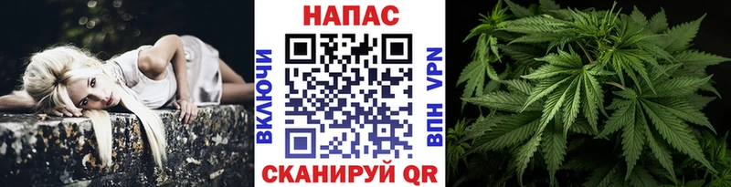 где продают   Гвардейск  Шишки марихуана ГИДРОПОН 